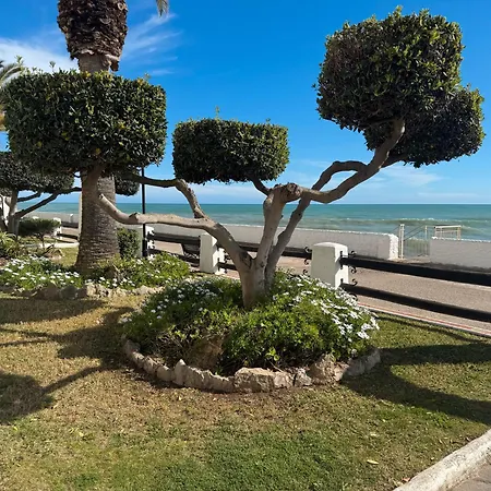 Sea Breeze