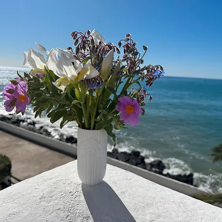 Apartment Sea Breeze