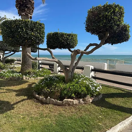 Sea Breeze