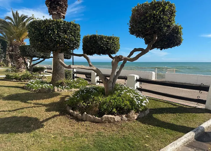 Sea Breeze