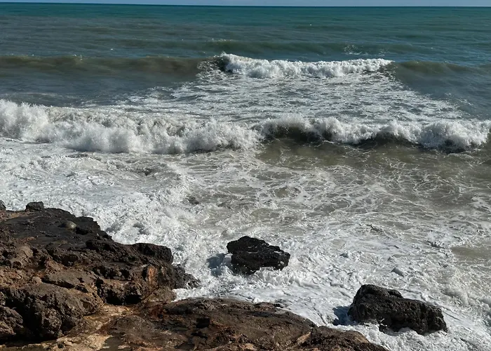 Sea Breeze *